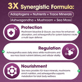 3X synergistic Formula
