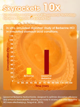 Liposomal Berberine HCl + Ceylon Cinnamon – Supports Gut & Metabolic Health