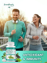 GreenPeople Oregano Oil Capsules on a clean kitchen counter next to herbal ingredients like oregano, garlic, elderberry, and black seed