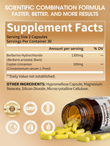 Berberine HCl 1300mg + Ceylon Cinnamon – Supplement Facts Label