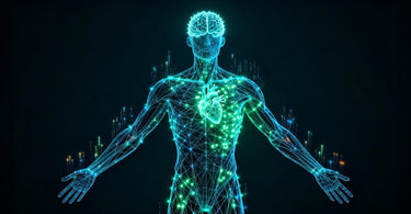 Magnesium drives ATP energy activation, governs neuro-muscular rhythm, and maintains metabolic and cardiovascular stability.