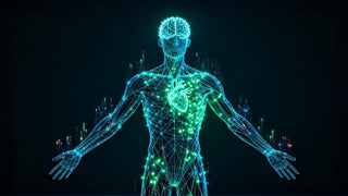 Magnesium drives ATP energy activation, governs neuro-muscular rhythm, and maintains metabolic and cardiovascular stability.