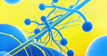 Lymphatic System Health: Signs of Toxic Build-Up and How to Detoxify