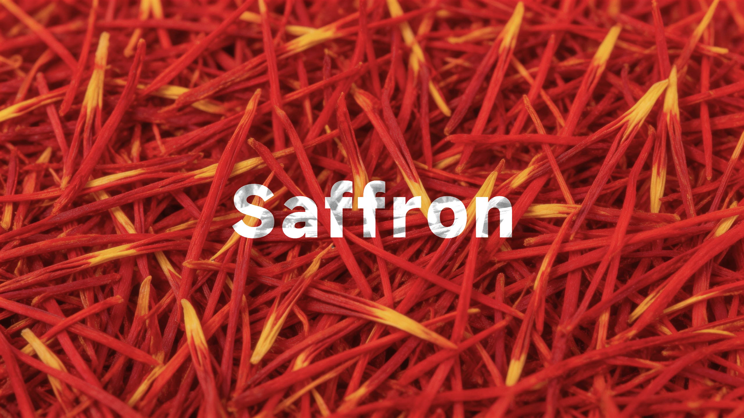 Premium red saffron threads (Crocus sativus) harvested for high-potency mood support supplements.