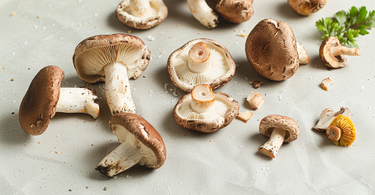 Going Green: The Role of Organic Plant Ingredients in Supplements