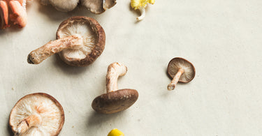 Understanding Adaptogens: Nature's Secret to Stress Relief and Balance