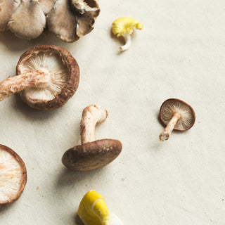 Understanding Adaptogens: Nature's Secret to Stress Relief and Balance