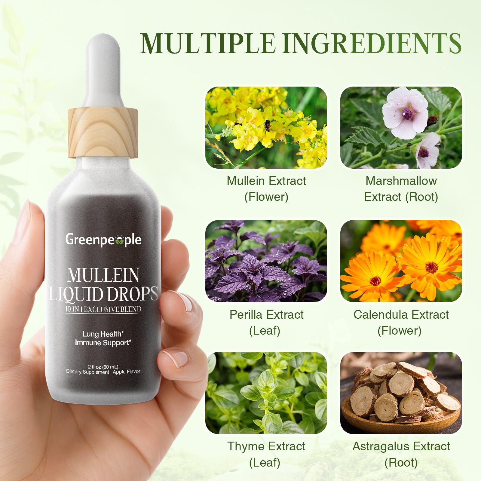 Mullein Liquid Drops 10-in-1 Respiratory Blend | Apple Flavor