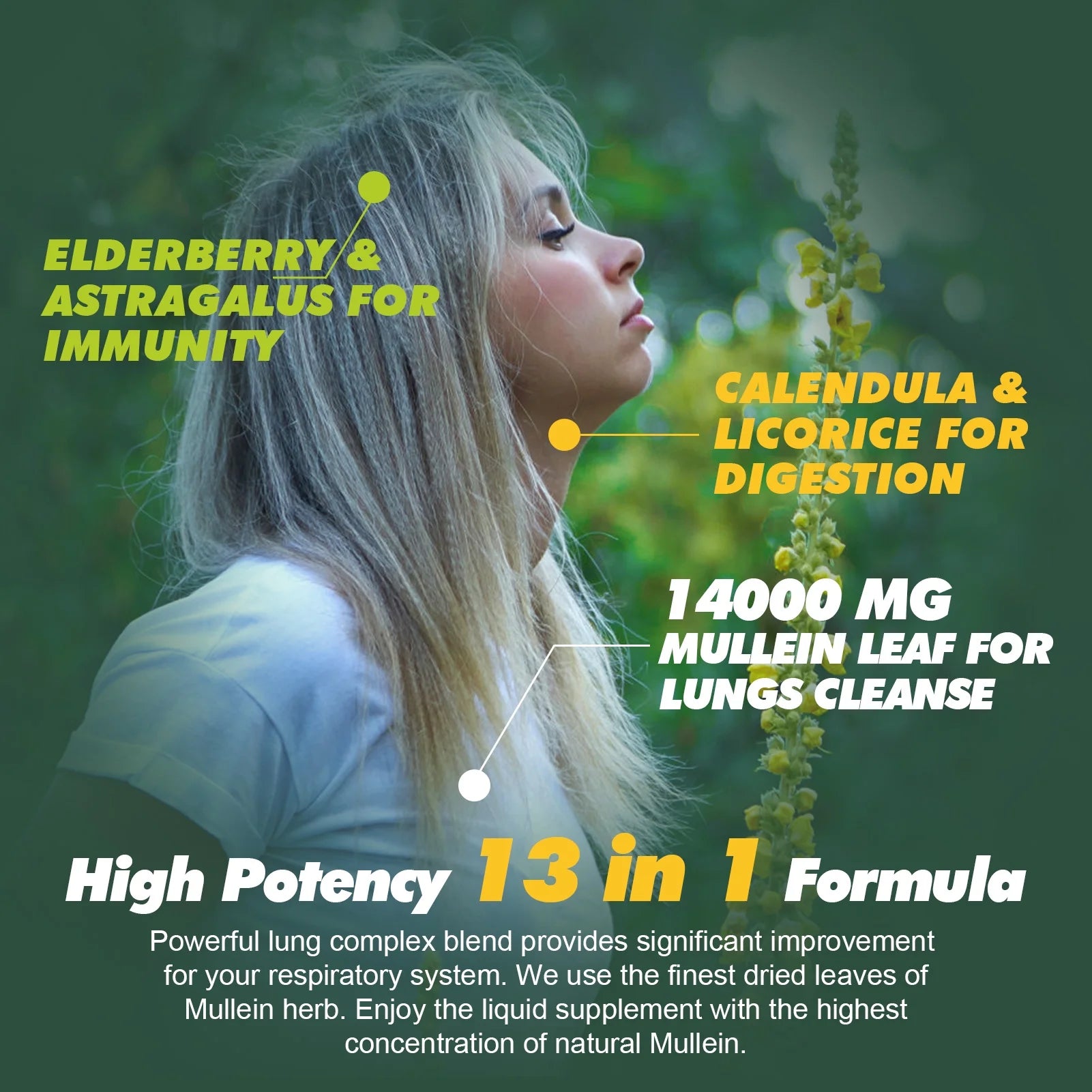 (2 Pack)Mullein Drops for Lungs - 1400MG Mullein Leaf Extract for Lungs Cleanse Support - Respiratory Supplement - 2FL Oz - GreenPeople
