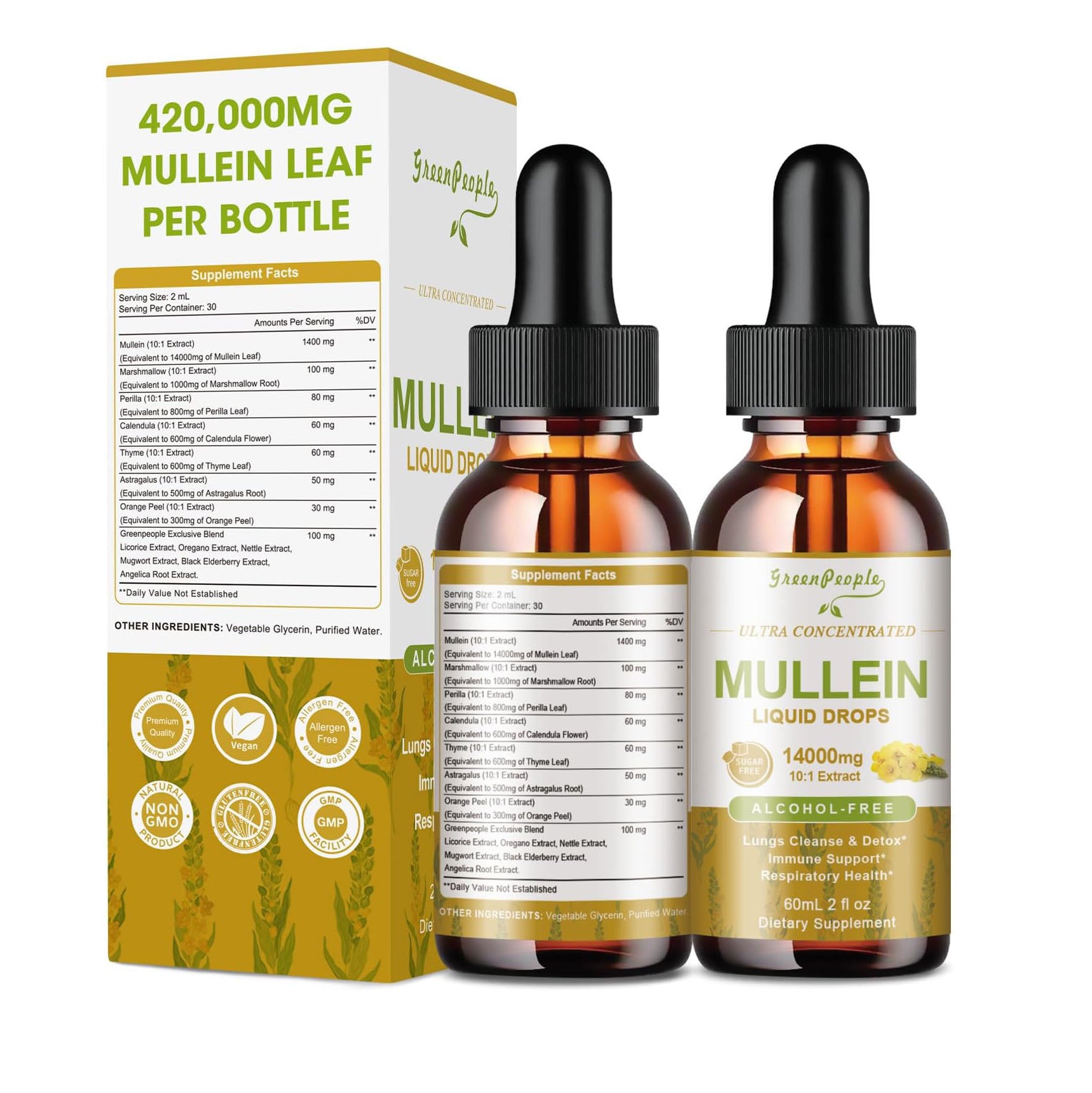 Mullein Leaf Liquid Drops – 13-in-1 Lung & Immune Herbal Formula, 2oz - GreenPeople