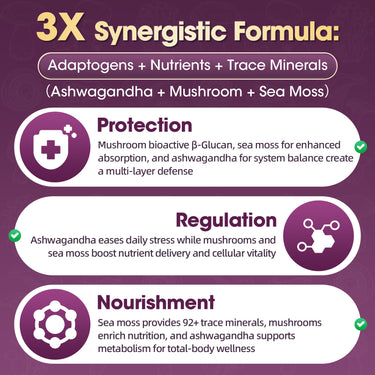 3X synergistic Formula