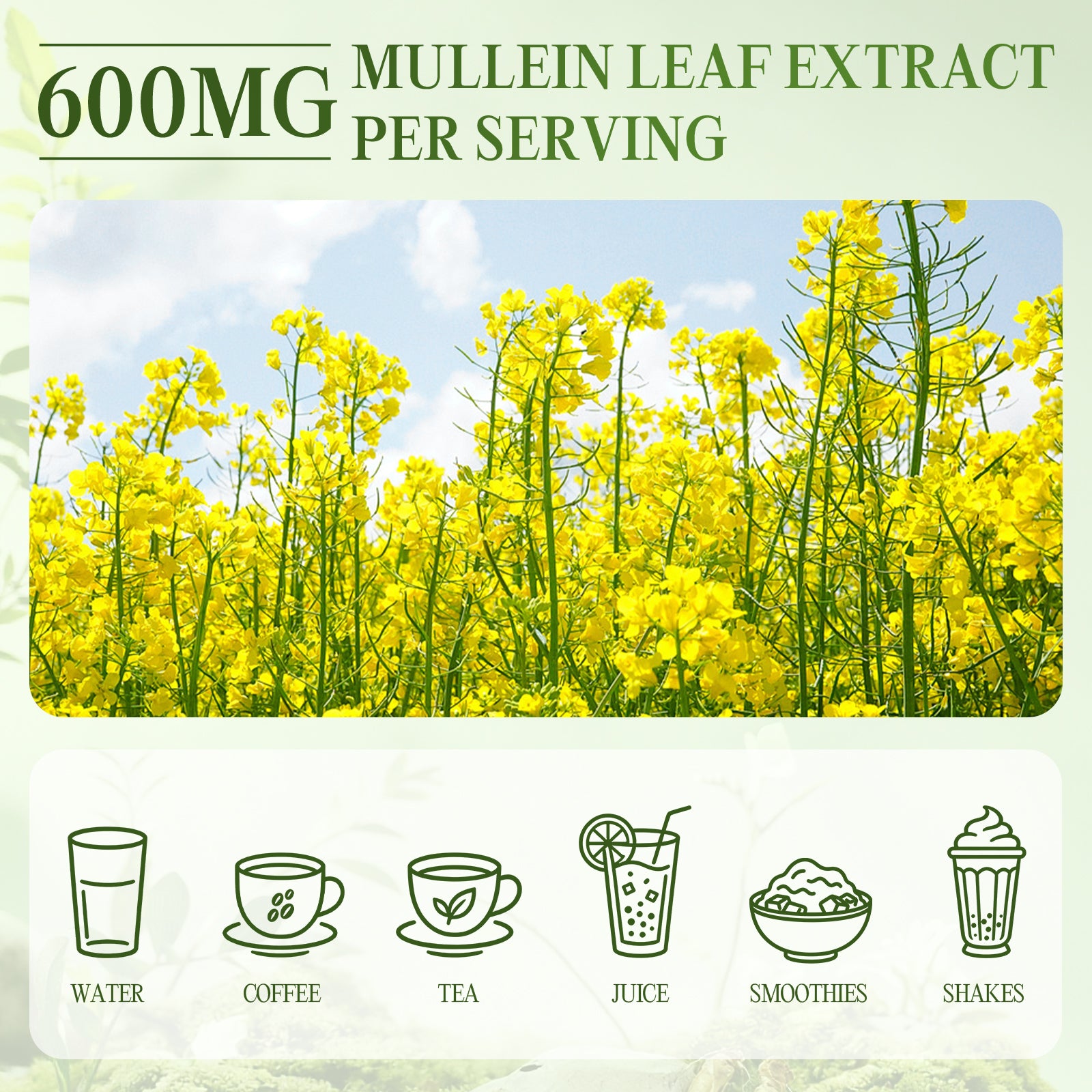 Mullein Liquid Drops 10-in-1 Respiratory Blend | Apple Flavor