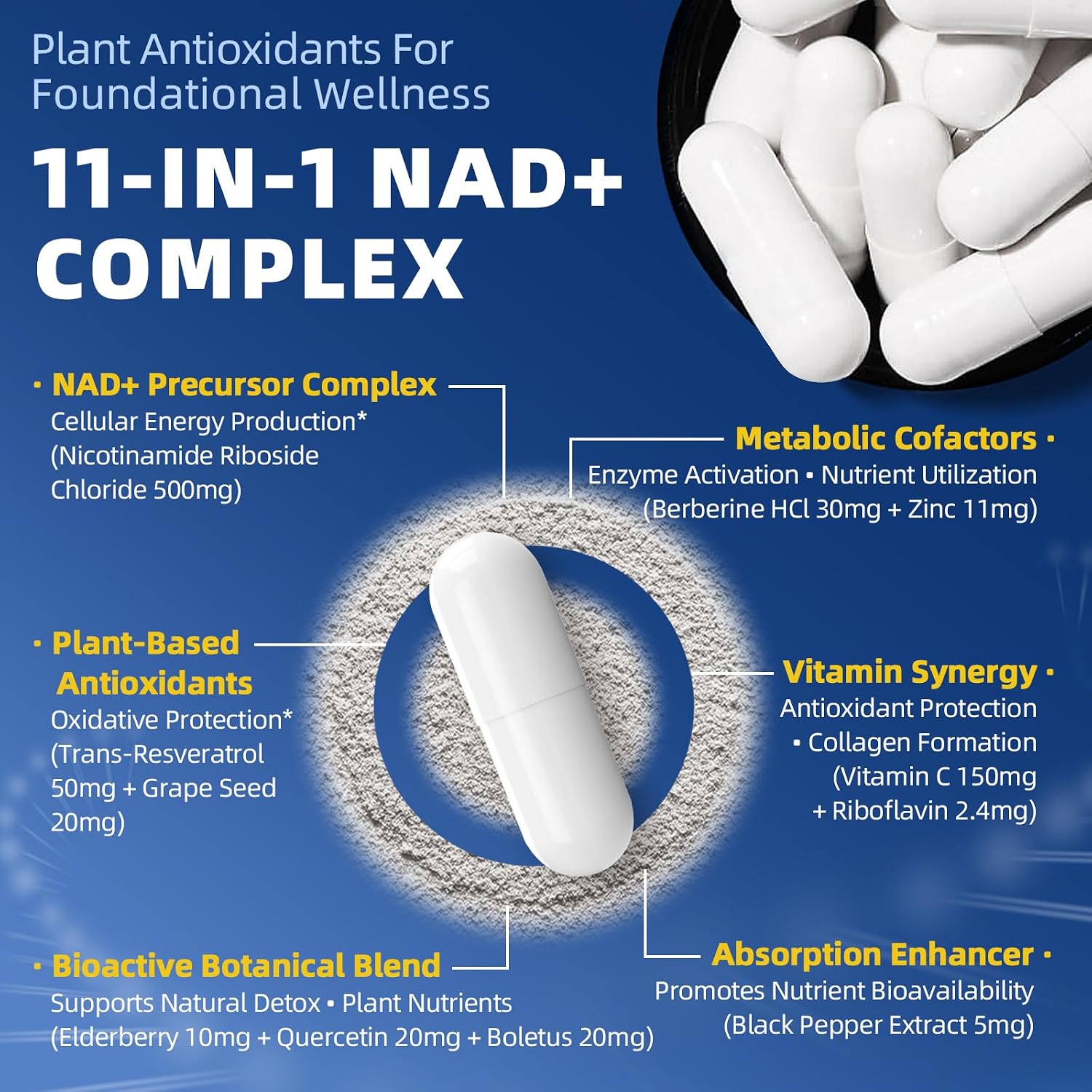 Liposomal NAD+ Complex | 500mg NR + Resveratrol | 60 Capsules