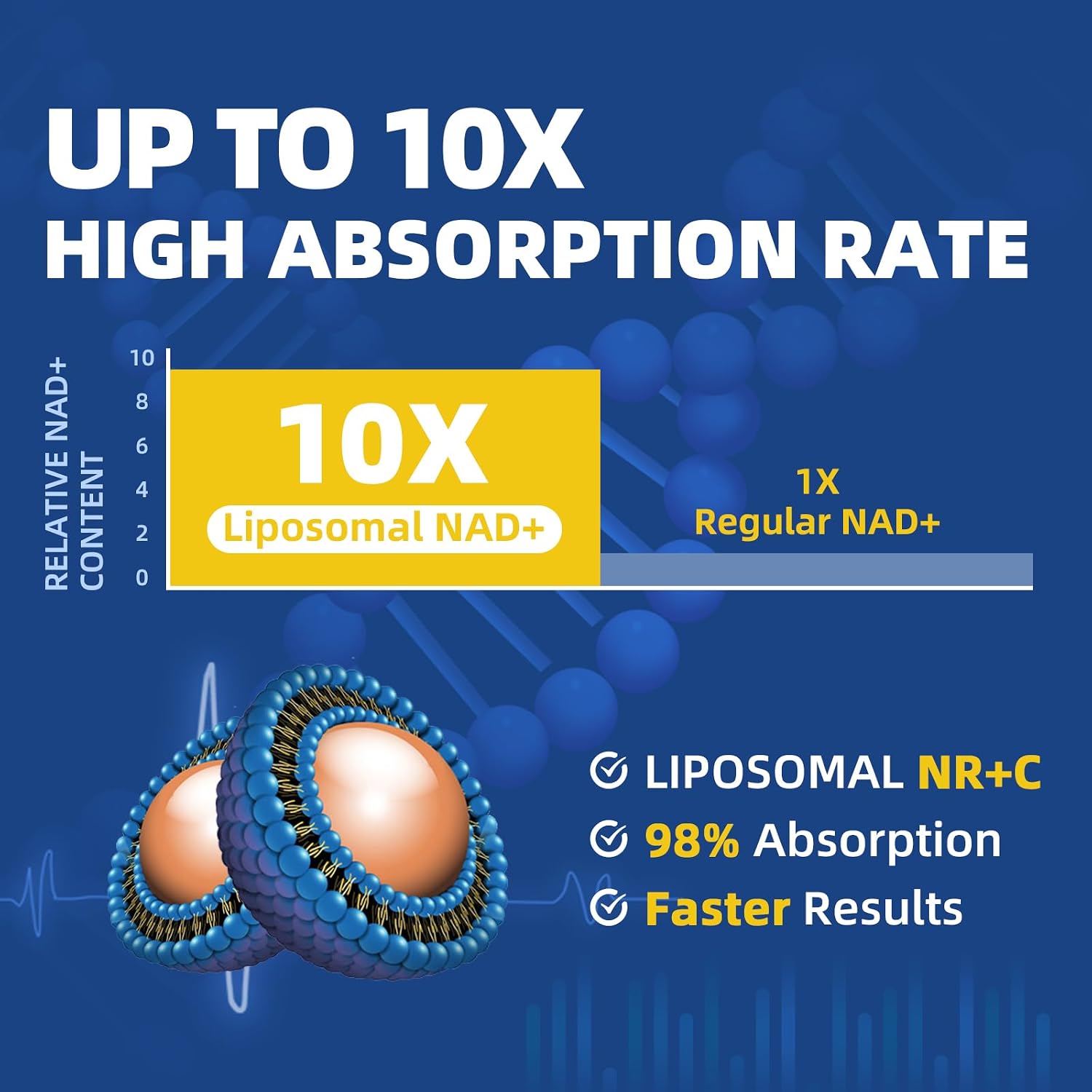 Liposomal NAD+ Complex | 500mg NR + Resveratrol | 60 Capsules