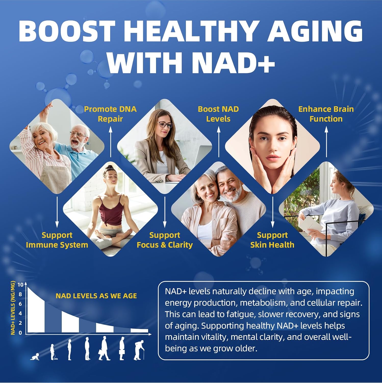 Liposomal NAD+ Complex | 500mg NR + Resveratrol | 60 Capsules