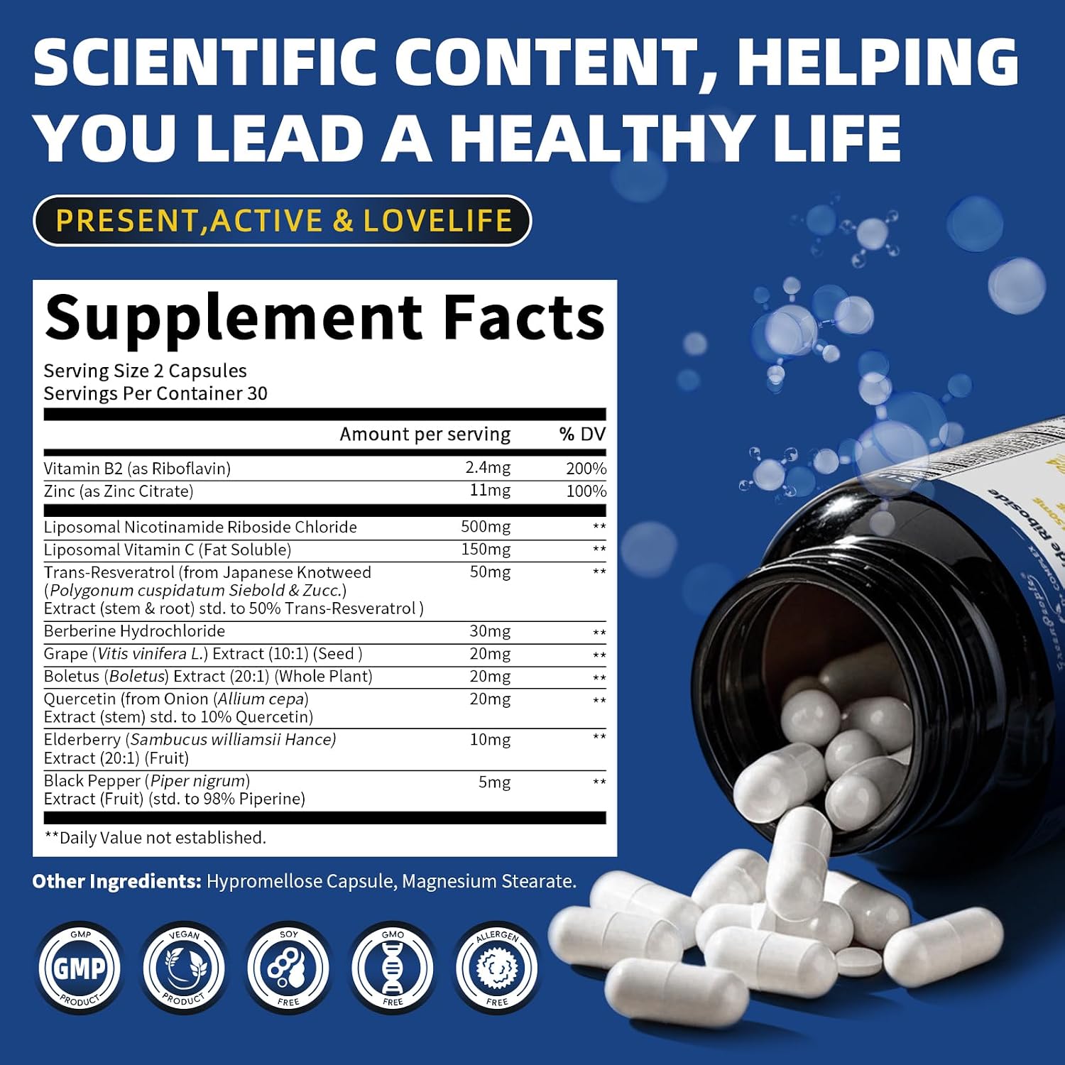 Liposomal NAD+ Complex | 500mg NR + Resveratrol | 60 Capsules