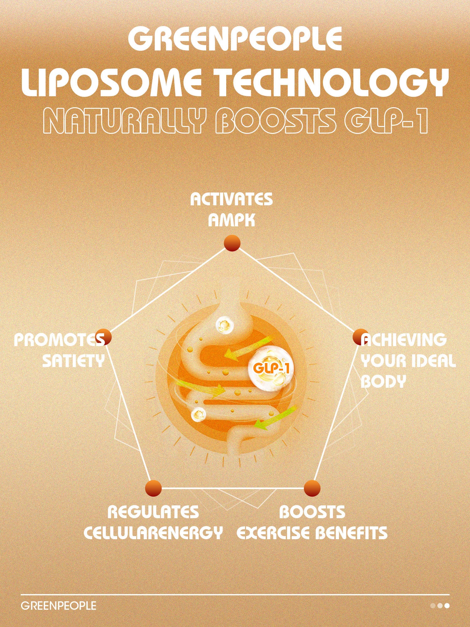 Liposomal Berberine HCl 1300mg with Ceylon Cinnamon – High Absorption, AMPK & GLP-1 Activator – 60 Vegan Capsules - GreenPeople