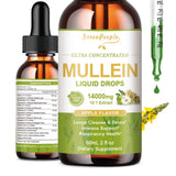 Vegan Mullein Drops for Lung Health by GreenPeople in a 60ml bottle with apple flavor, featuring mullein leaf extract for lung cleanse.