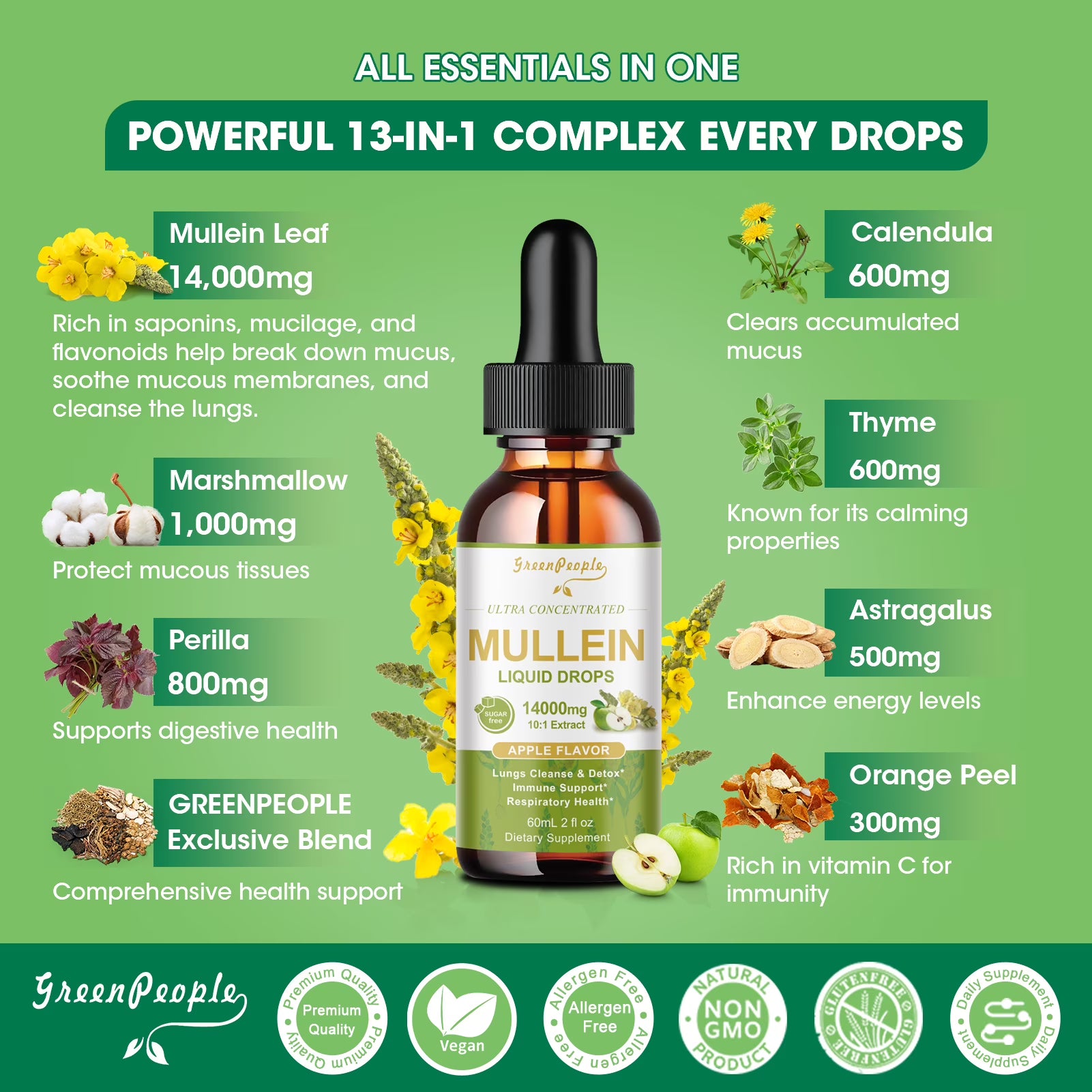 Two bottles of GreenPeople Mullein Drops for lungs, vegan apple-flavored extract in 4 oz bottles for lung health and immune support.