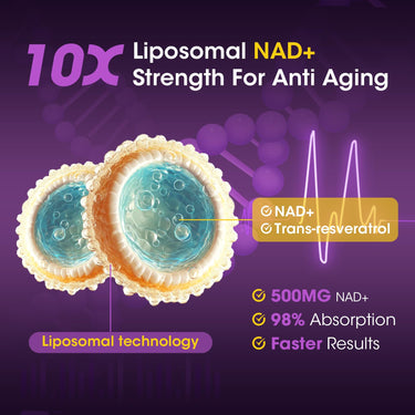 Nad+ Boost cellular energy