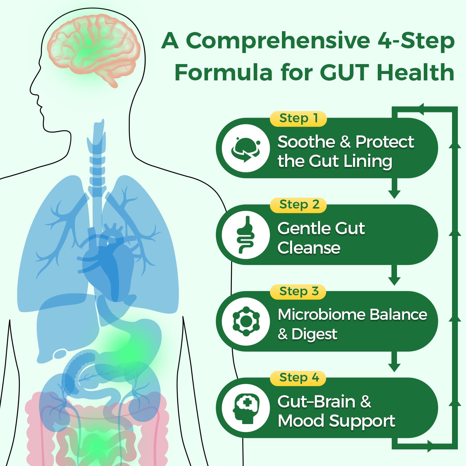 GreenPeople 4-in-1 gut health supplement with slippery elm, probiotics, enzymes, prebiotics, and postbiotics in 60 capsules.