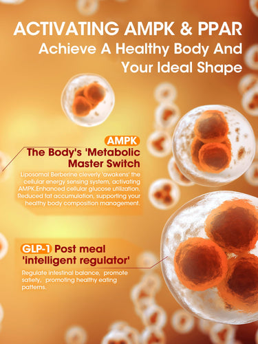 Activates AMPK & GLP-1 – Supports Metabolism and Appetite Control