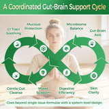 GreenPeople 4-in-1 gut-brain restore capsules featuring probiotics, postbiotics, and digestive enzymes in a 120-capsule bottle.