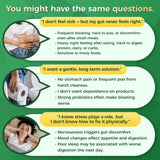 GreenPeople 4-in-1 gut-brain restore capsules with probiotics, postbiotics, and digestive enzymes in a 120-capsule bottle.