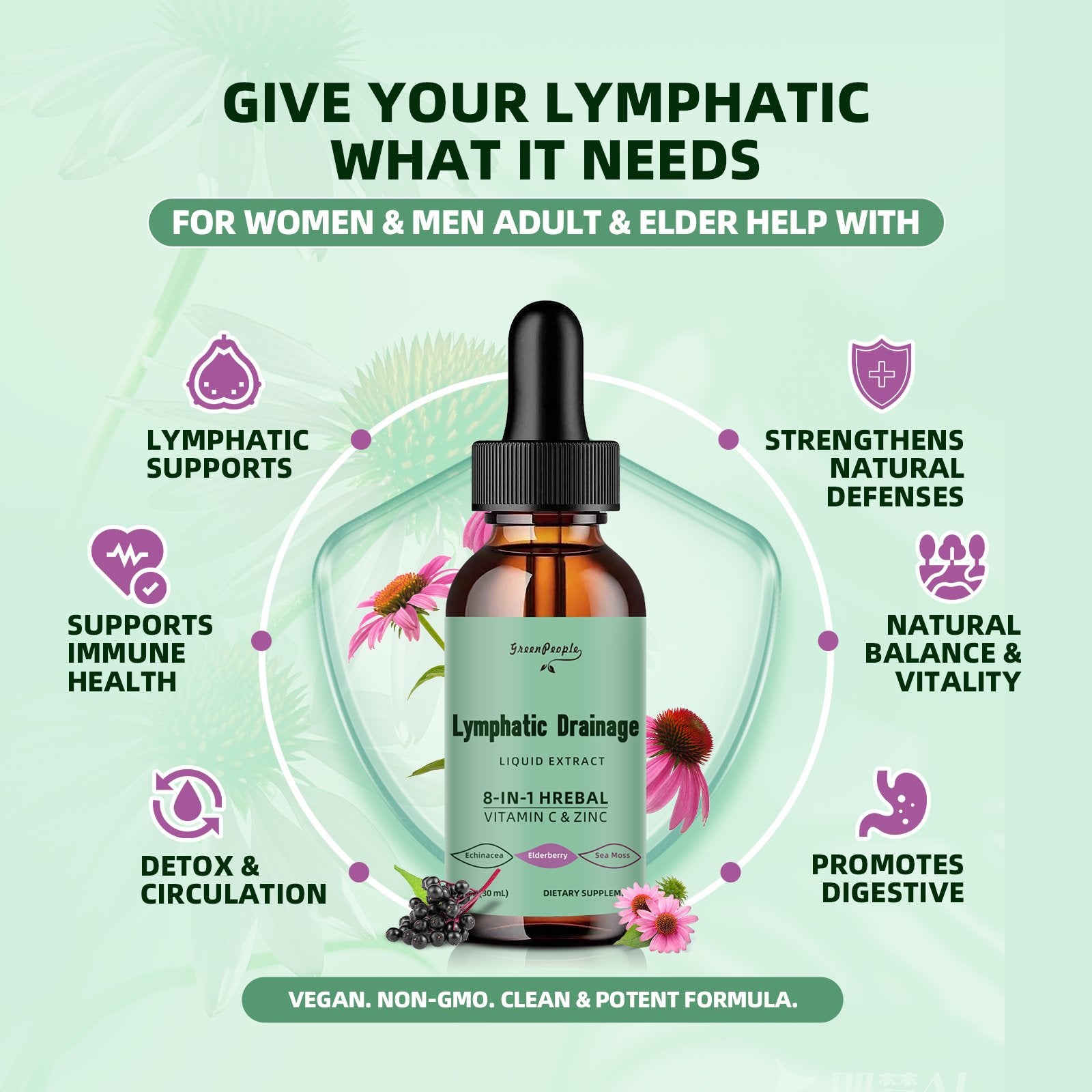 Lymphatic Drainage Drops, 10-in-1 Lymphatic Supplements with Echinacea & Burdock Root- Immune & Detox Boost, Advanced Absorption, Non-GMO (2 fl oz, 2 Pack) - GreenPeople