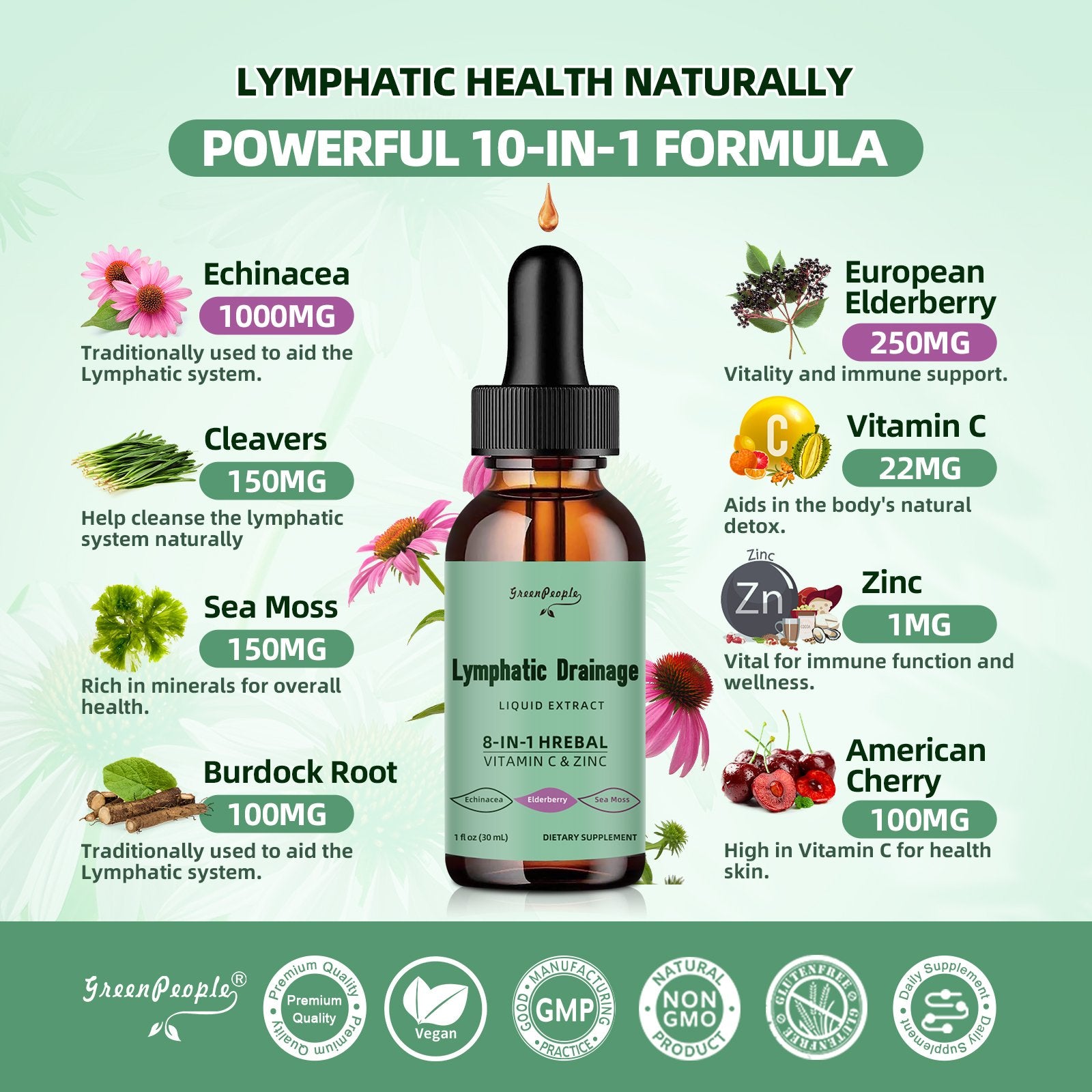Lymphatic Drainage Drops, 10-in-1 Lymphatic Supplements with Echinacea & Burdock Root- Immune & Detox Boost, Advanced Absorption, Non-GMO (2 fl oz, 2 Pack) - GreenPeople